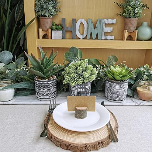 Winlyn Set of 3 Assorted Artificial Succulent Plants