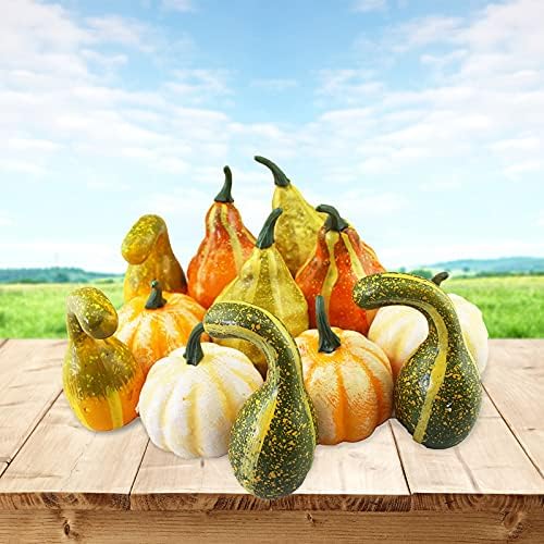 TITA-DONG Artificial Pumpkins and Gourds Set of 12 Halloween Foam Props