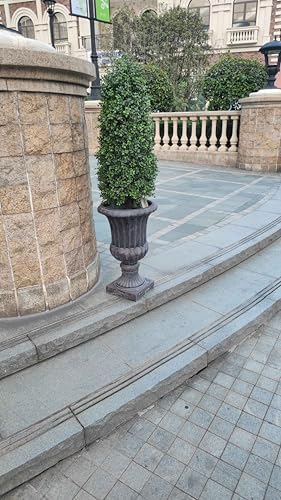 38in Artificial Boxwood Topiary Trees 2Pack