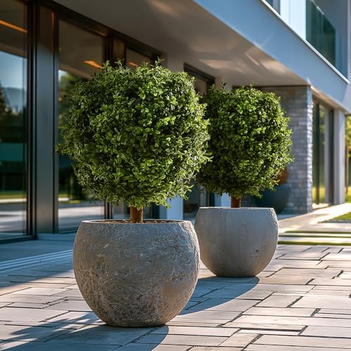 Artificial Topiary Boxwood Trees Set of 2 24 Inch Pre Potted Faux Plants