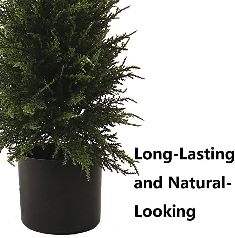275 Ft Cedar Topiary Tree for Front Porch
