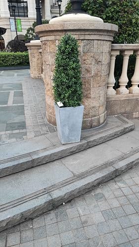 38in Artificial Boxwood Topiary Trees 2Pack
