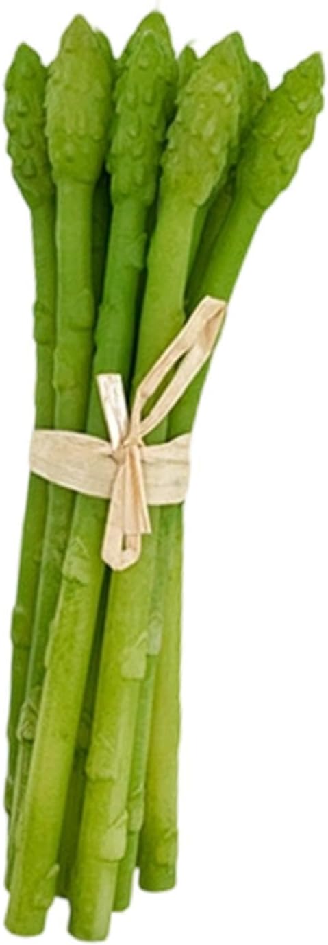 Artificial Asparagus 20x6cm Realistic Fake Vegetable Teaching Aid