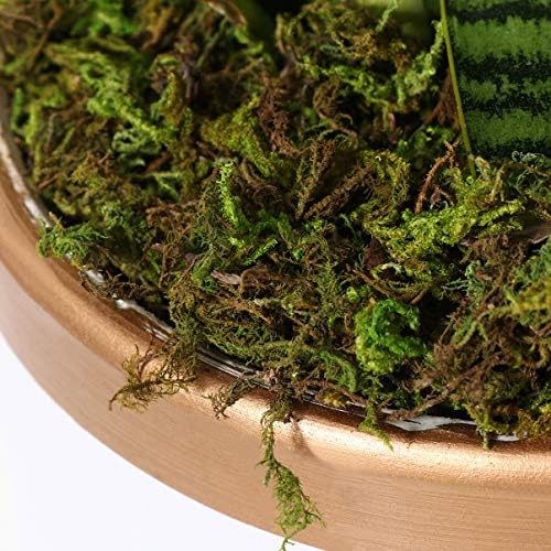 VOSAREA Artificial Moss for DIY Forest Crafts