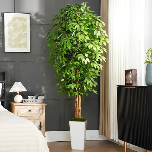 7ft Ficus Artificial Tree with 3 Curved Trunks and White Planter