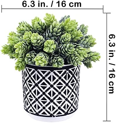 Winlyn 3 Pcs Artificial Succulent Plants Set