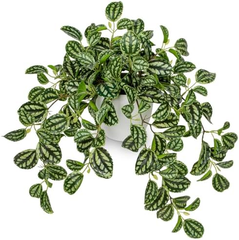 Briful Faux Watermelon Peperomia Artificial Plant for Home Office