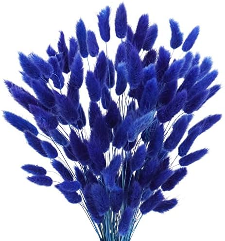 Uieke 17 Inch Natural Bunny Tails Dried Flowers 120 Pcs