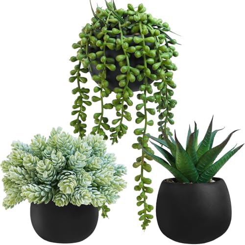 Winlyn Set of 3 Artificial Succulent Plants in Black Concrete Pots