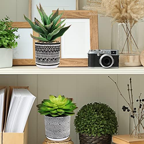 Winlyn Set of 3 Assorted Artificial Succulent Plants