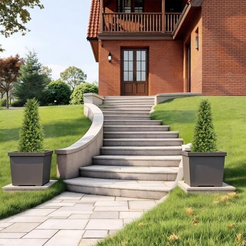Binnny Flower 3ft Artificial Boxwood Topiary Set of 2