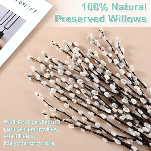 Oning 20 Stems Preserved Pussywillow Branches for Vase