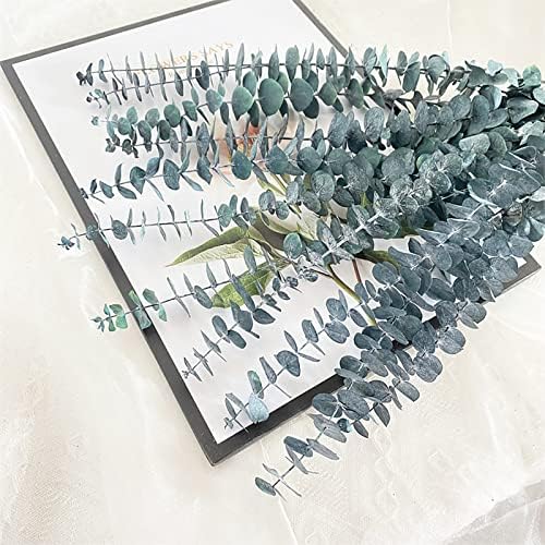 Comtelek Eucalyptus Shower Decor 10 Pcs Real Dried Bundle