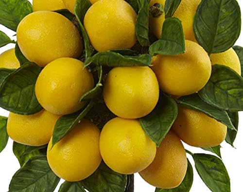 Nearly Natural Lemon Ball Topiary Arrangement 195x85x875
