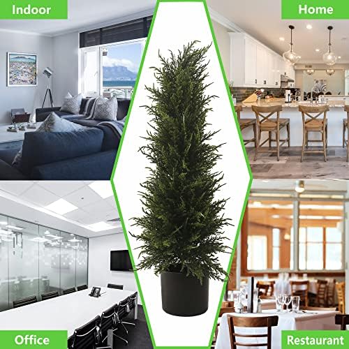 275 Ft Cedar Topiary Tree for Front Porch