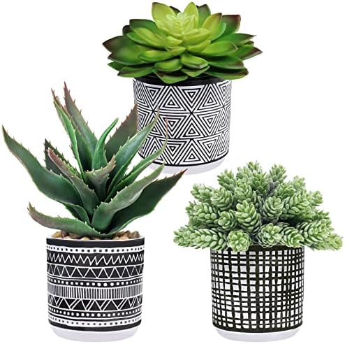 Winlyn Set of 3 Assorted Artificial Succulent Plants