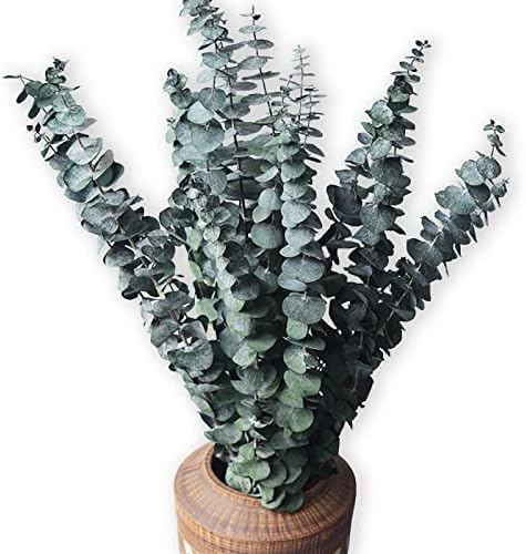 Comtelek Eucalyptus Shower Decor 10 Pcs Real Dried Bundle