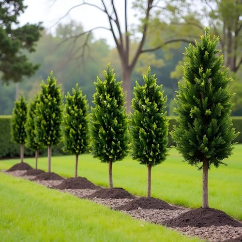 Fonyick Artificial Cypress Topiary Tree Set of 2