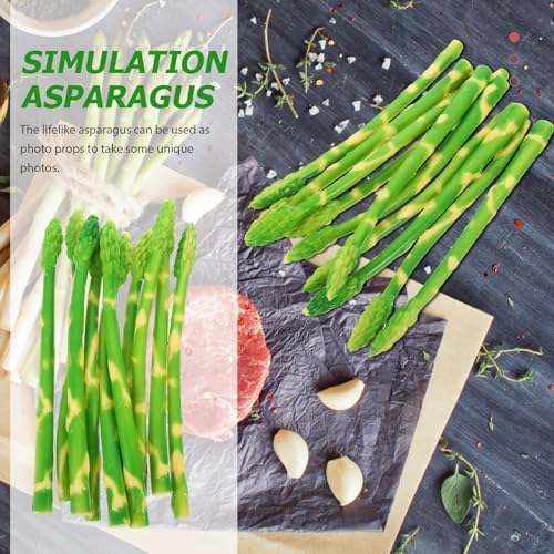 DECHOUS 10Pcs Artificial Asparagus Display Props