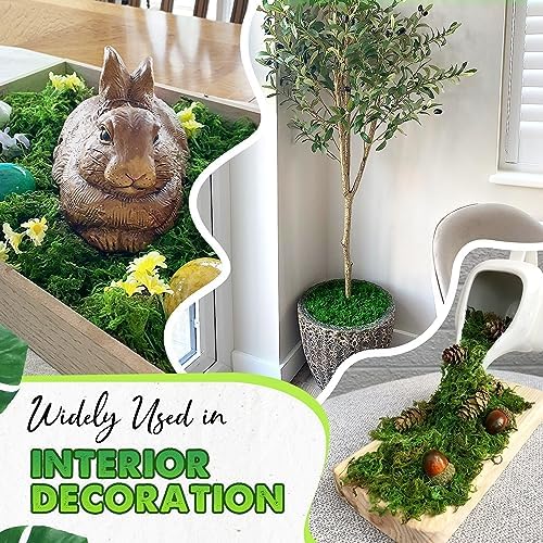 Duspro Upgraded Green Moss for Crafts and Decor