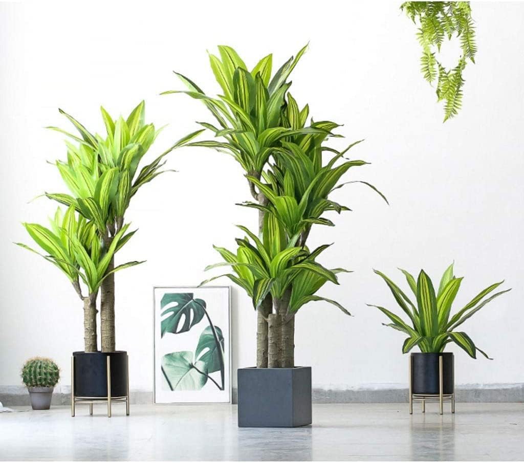 Fragrant Dragon Blood Tree Artificial Plant 155cm