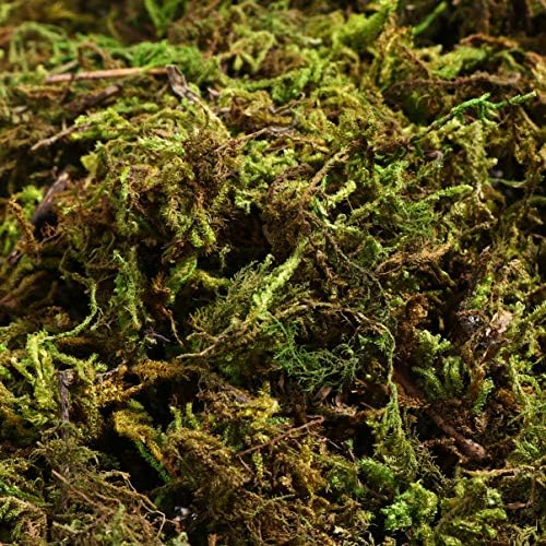 VOSAREA Artificial Moss for DIY Forest Crafts