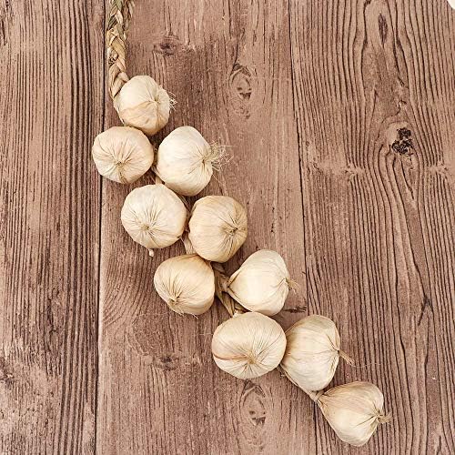 EdricShop Artificial Garlic and Onion Set 10Pcs String