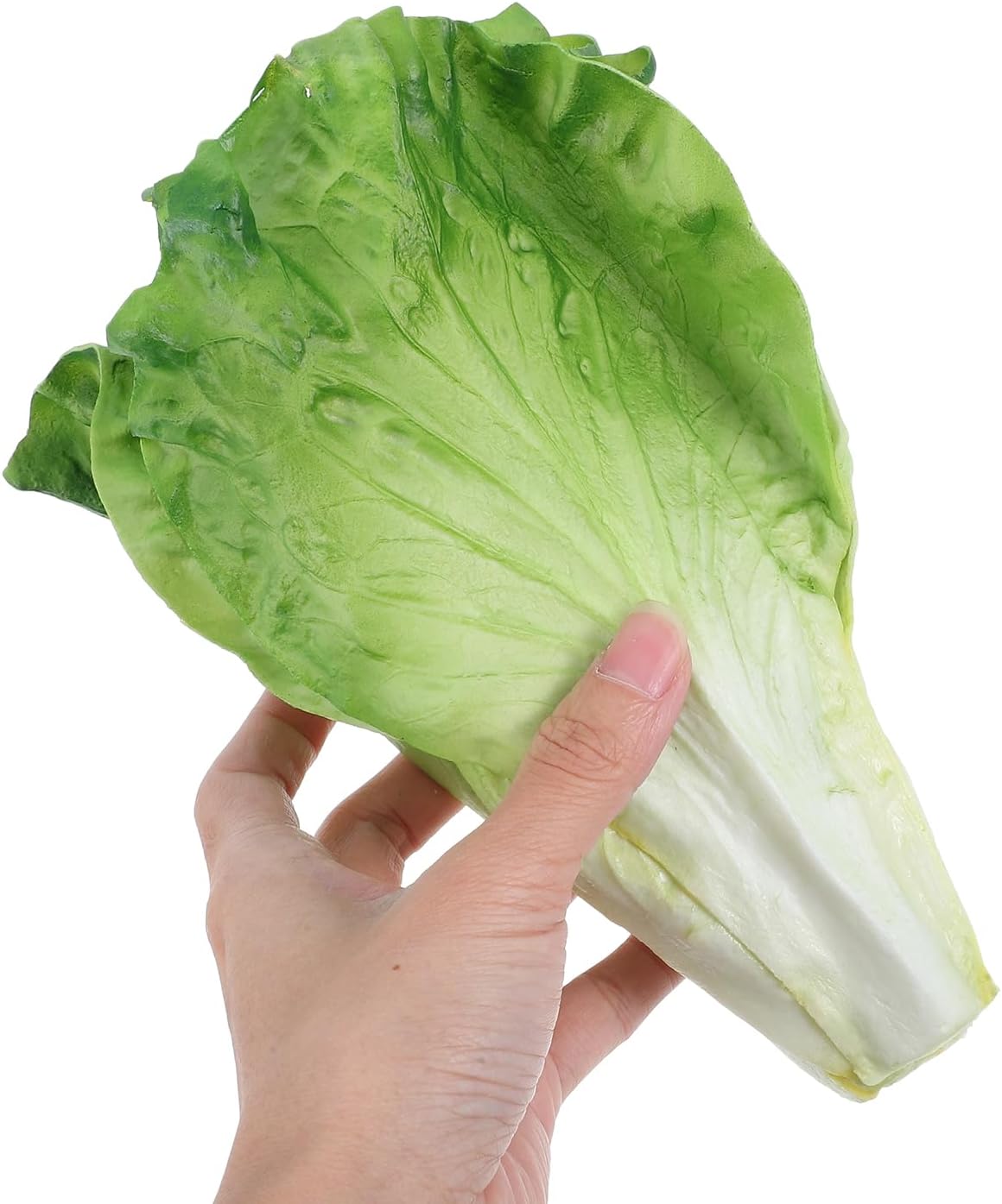LUOZZY 2pcs Artificial Vegetable Model Fake Lettuce Decoration