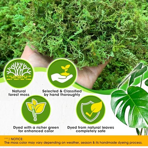 Duspro Upgraded Green Moss for Crafts and Decor