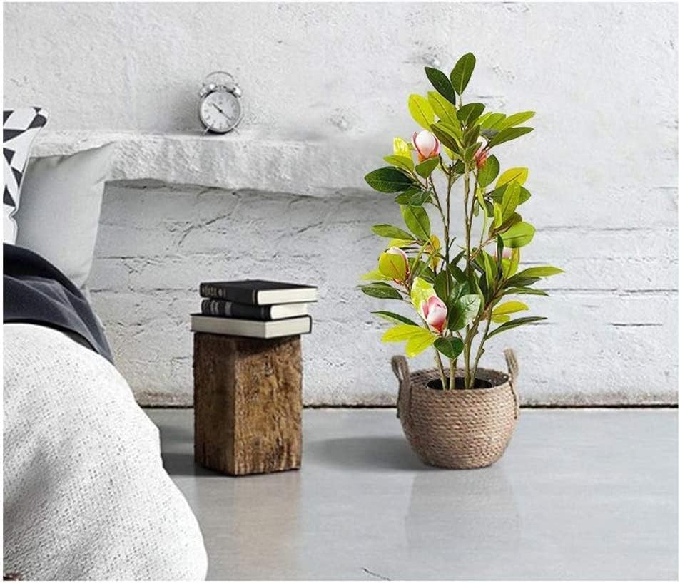70cm Artificial Tree with Real Wood Trunk