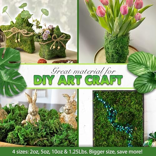 Duspro Upgraded Green Moss for Crafts and Decor