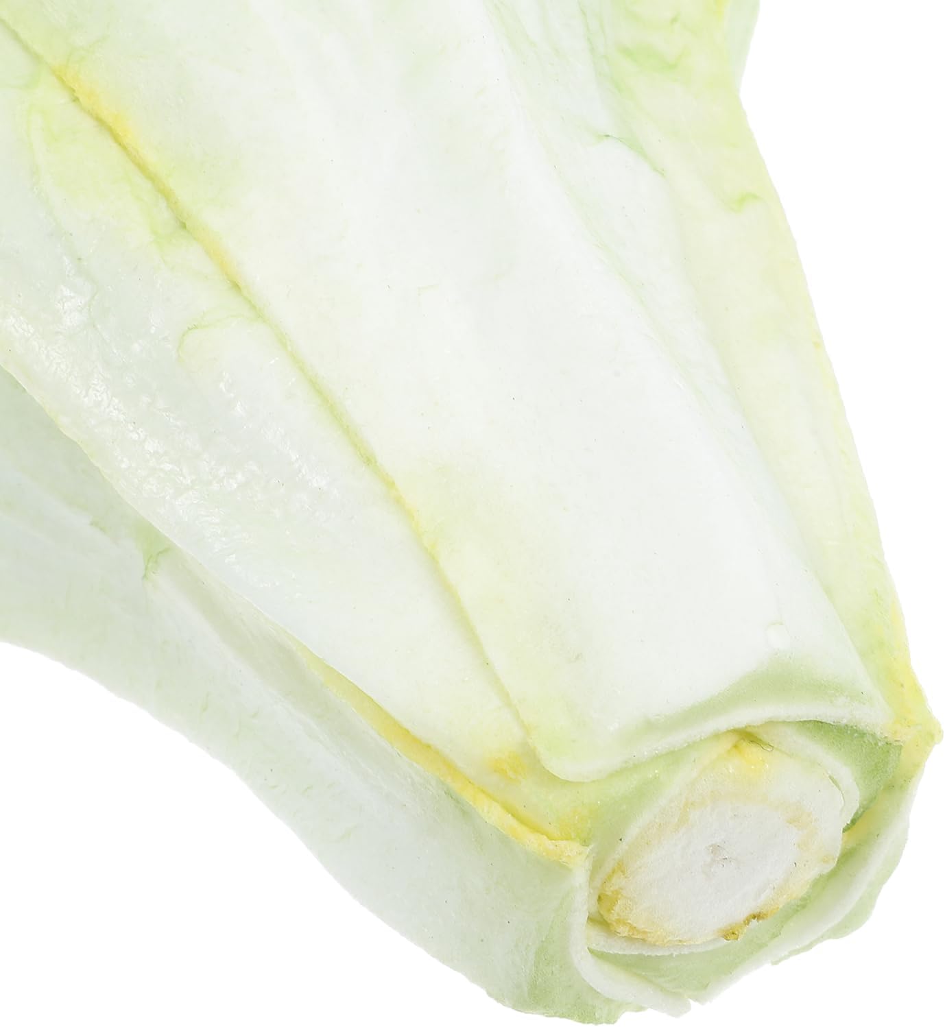 LUOZZY 2pcs Artificial Vegetable Model Fake Lettuce Decoration