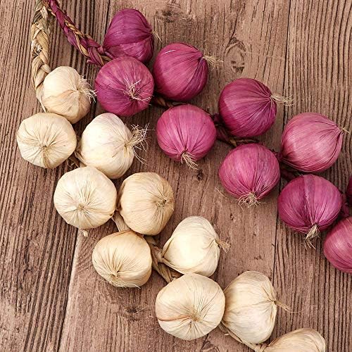 EdricShop Artificial Garlic and Onion Set 10Pcs String