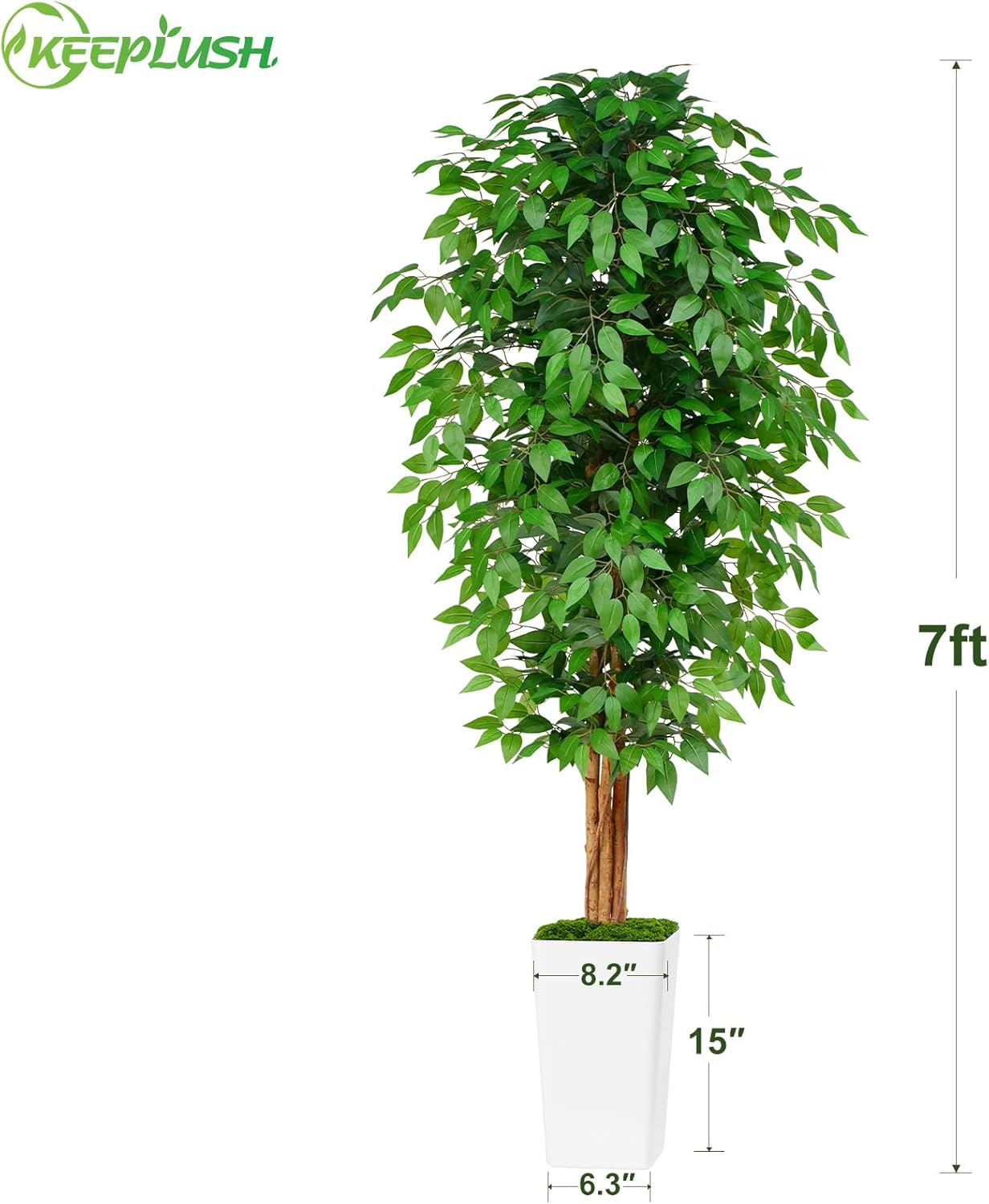 7ft Ficus Artificial Tree with 3 Curved Trunks and White Planter