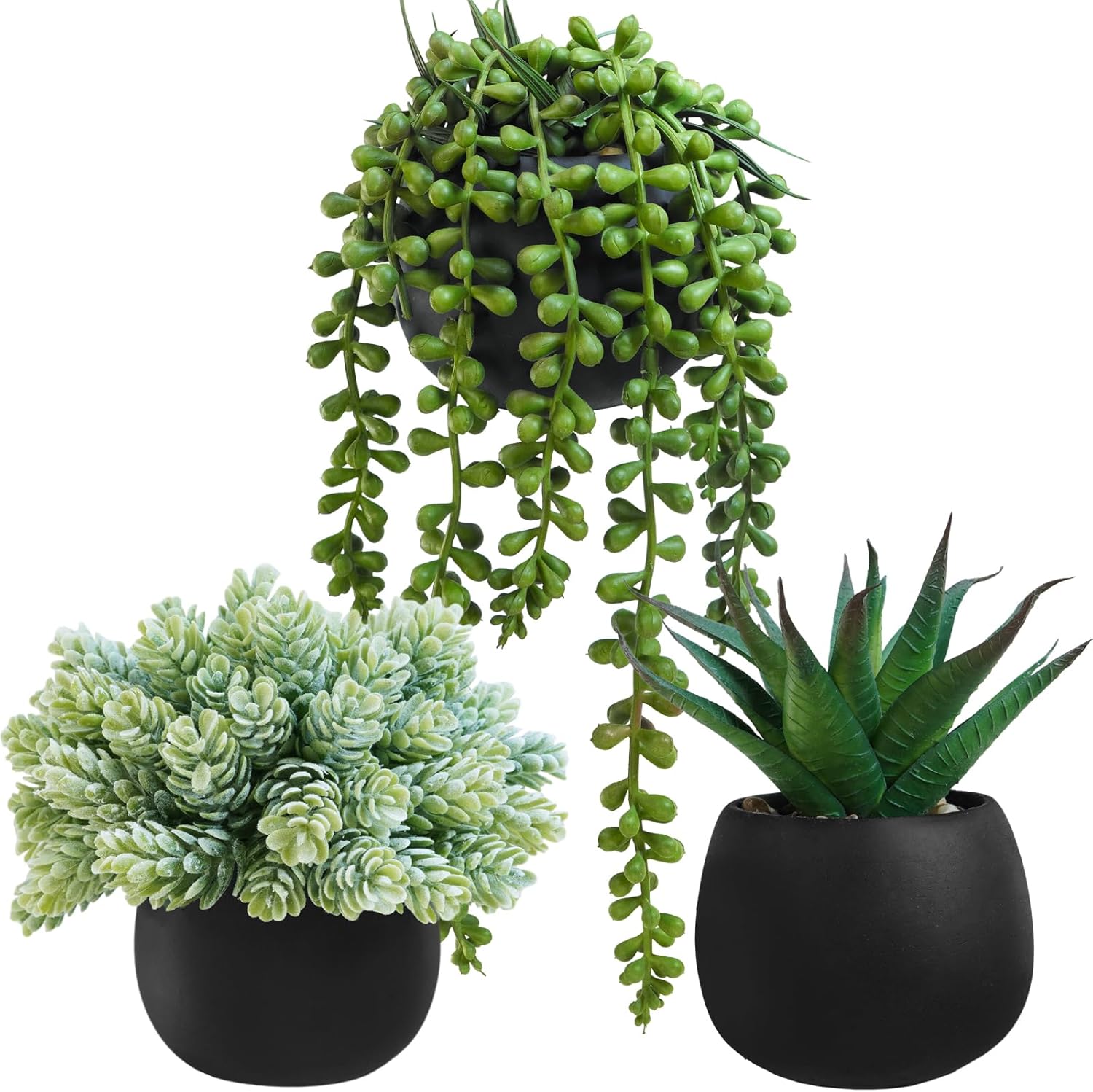 Winlyn Set of 3 Artificial Succulent Plants in Black Concrete Pots