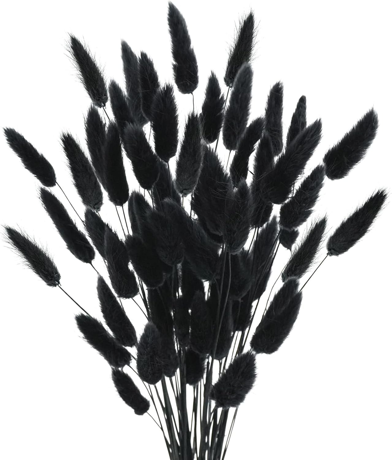 Uieke 17 Inch Black Dried Bunny Tails for Decor