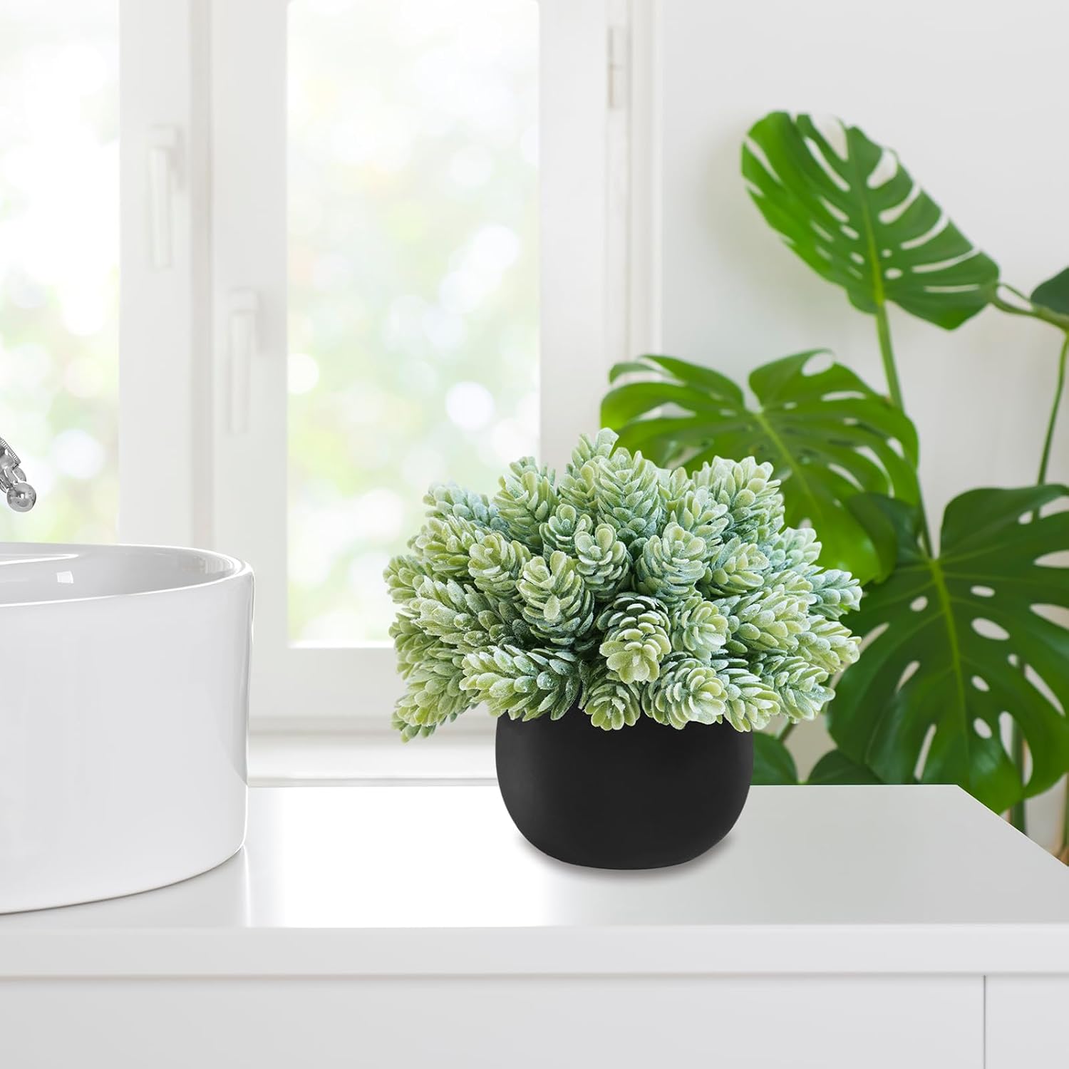 Winlyn Set of 3 Artificial Succulent Plants in Black Concrete Pots