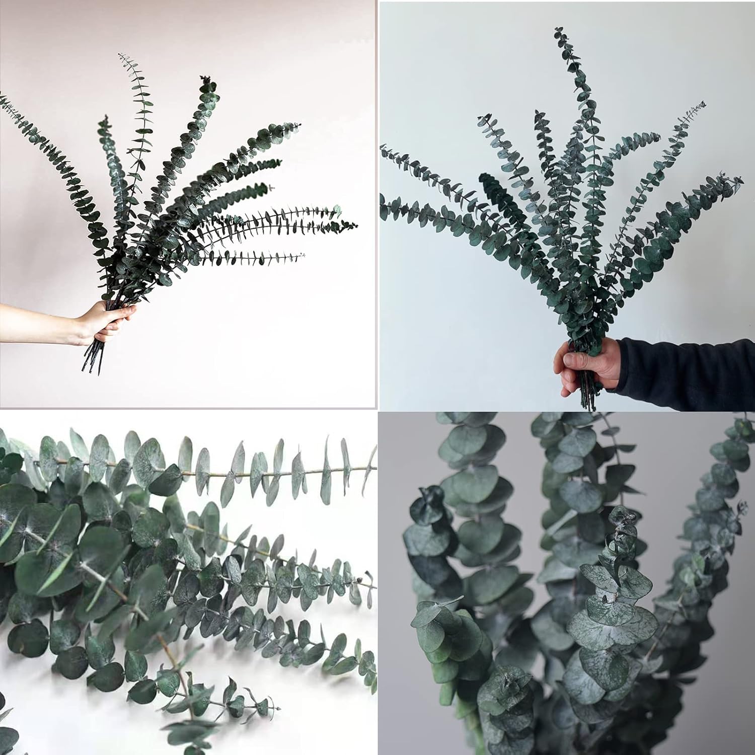 Comtelek Eucalyptus Shower Decor 10 Pcs Real Dried Bundle