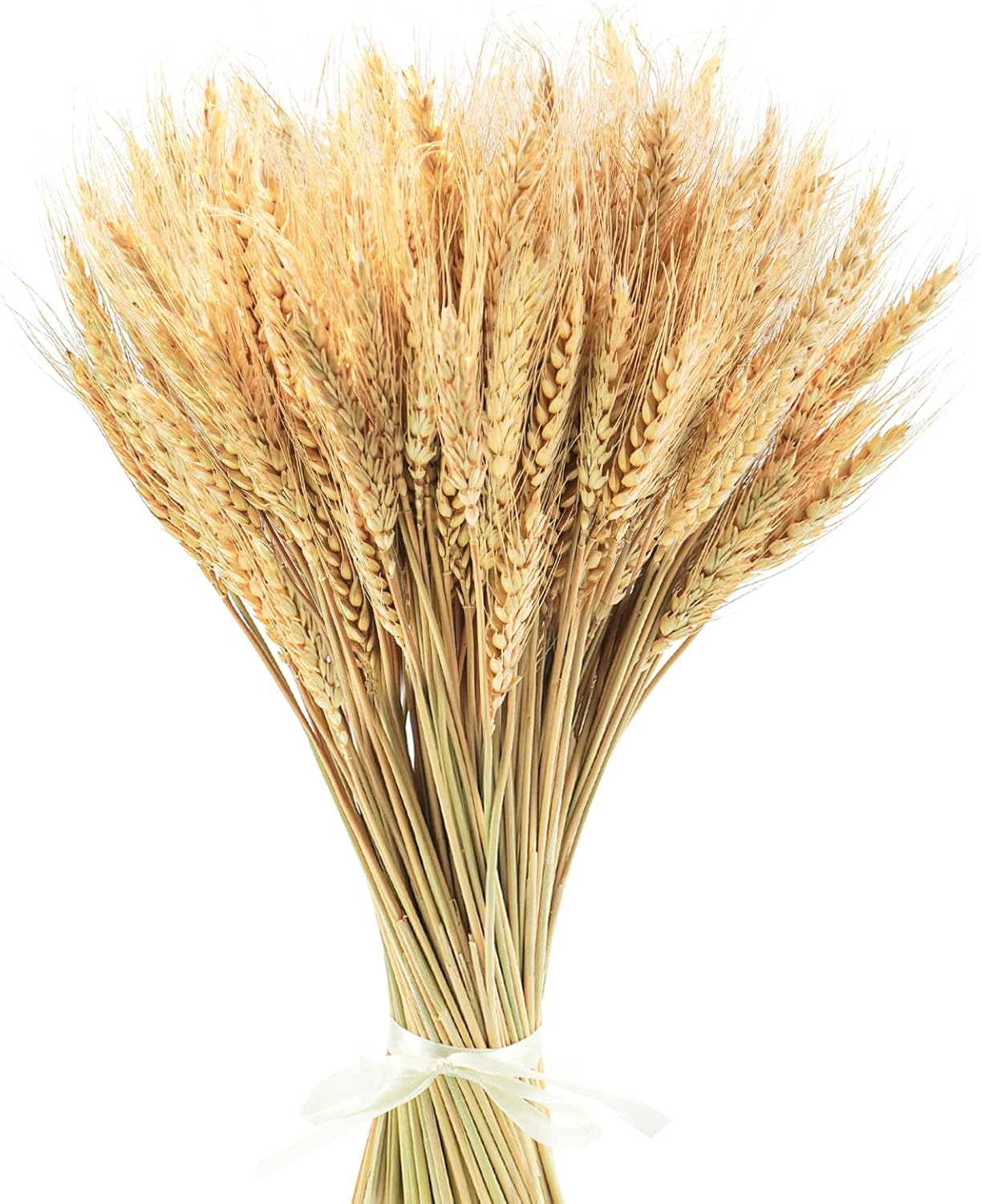 Uieke 177 Inch Dried Wheat Stalks for Home Decor
