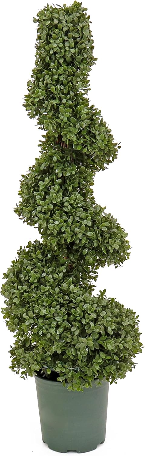 National Tree Company 44 Inch Artificial Boxwood Spiral Topiary