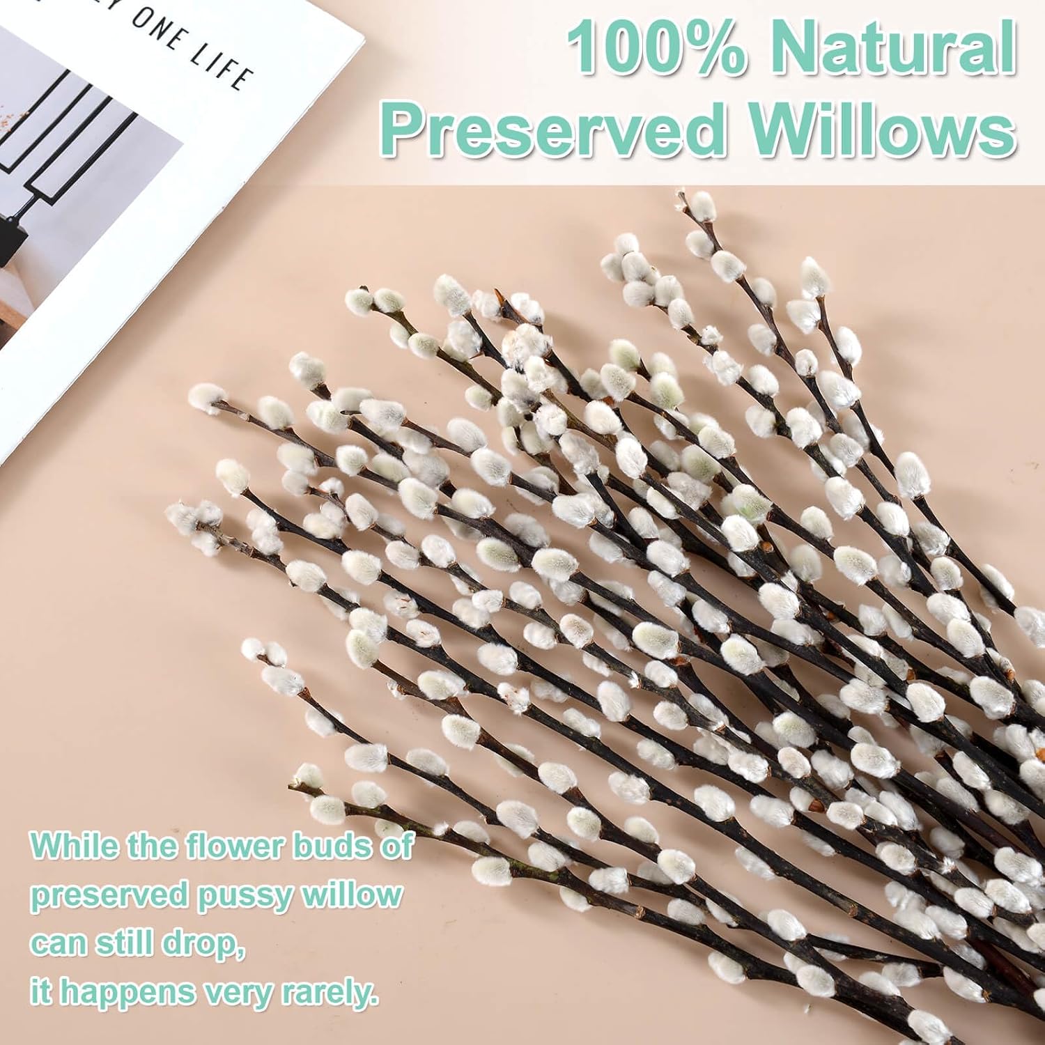 Oning 20 Stems Preserved Pussywillow Branches for Vase