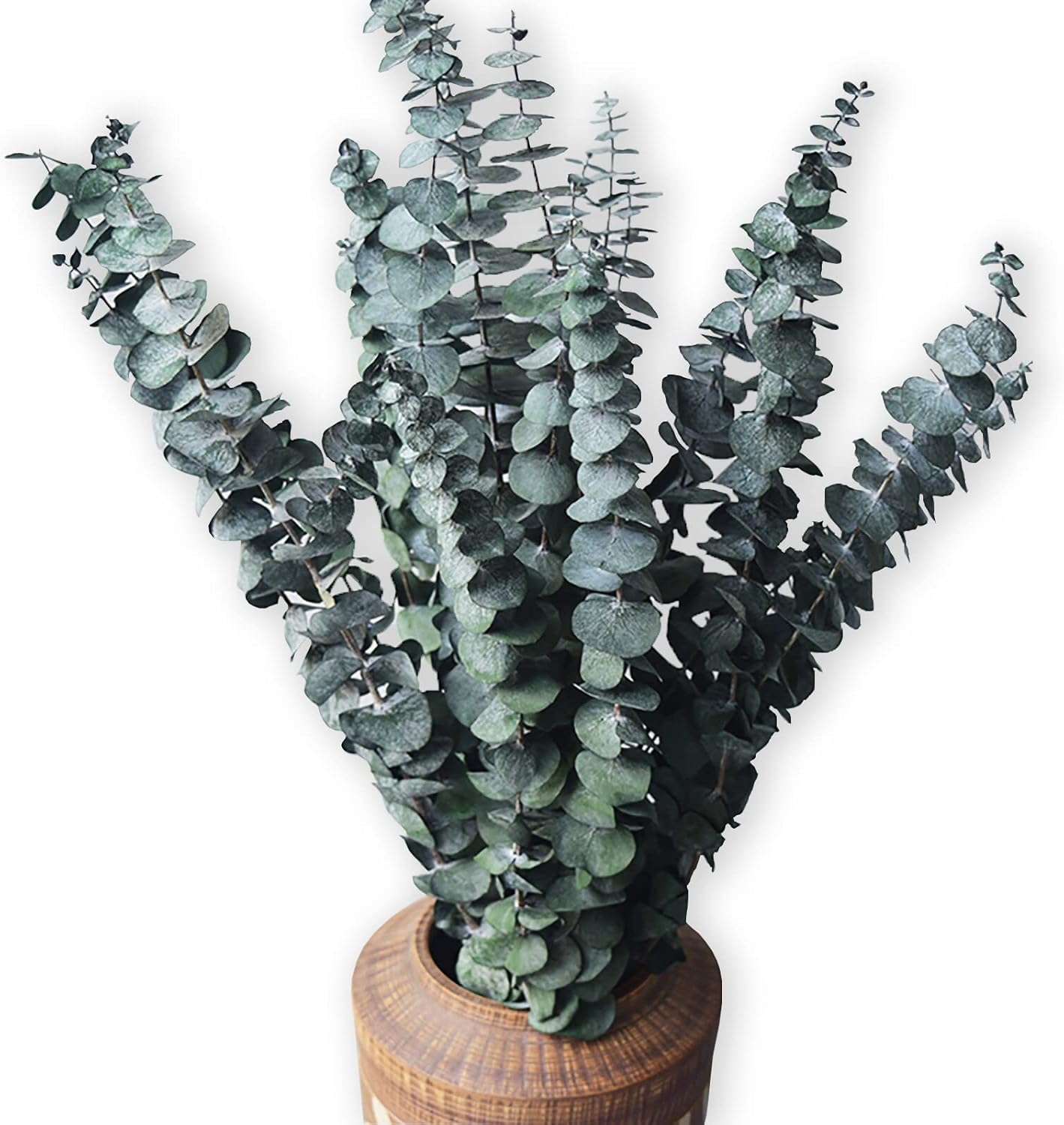 Comtelek Eucalyptus Shower Decor 10 Pcs Real Dried Bundle