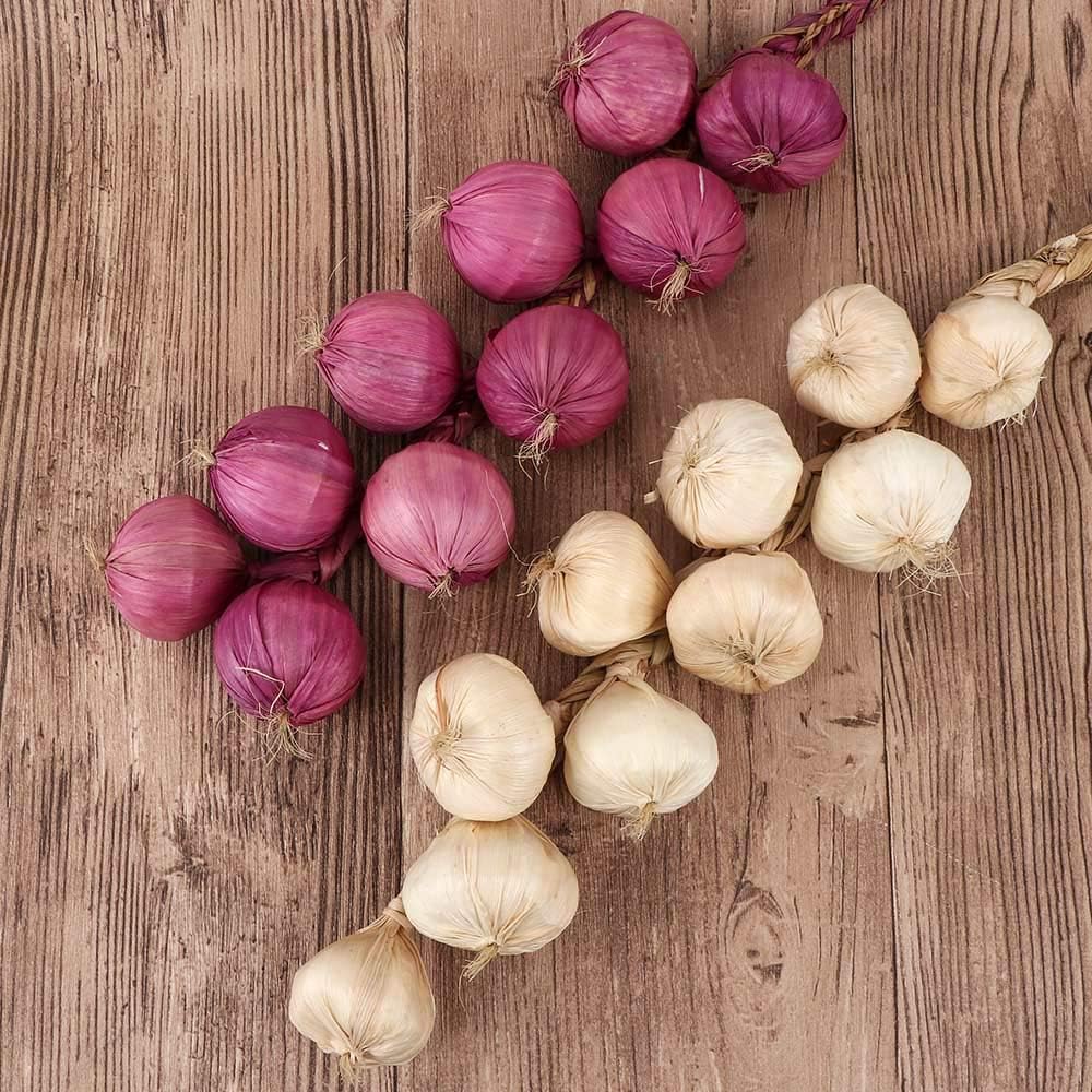 EdricShop Artificial Garlic and Onion Set 10Pcs String