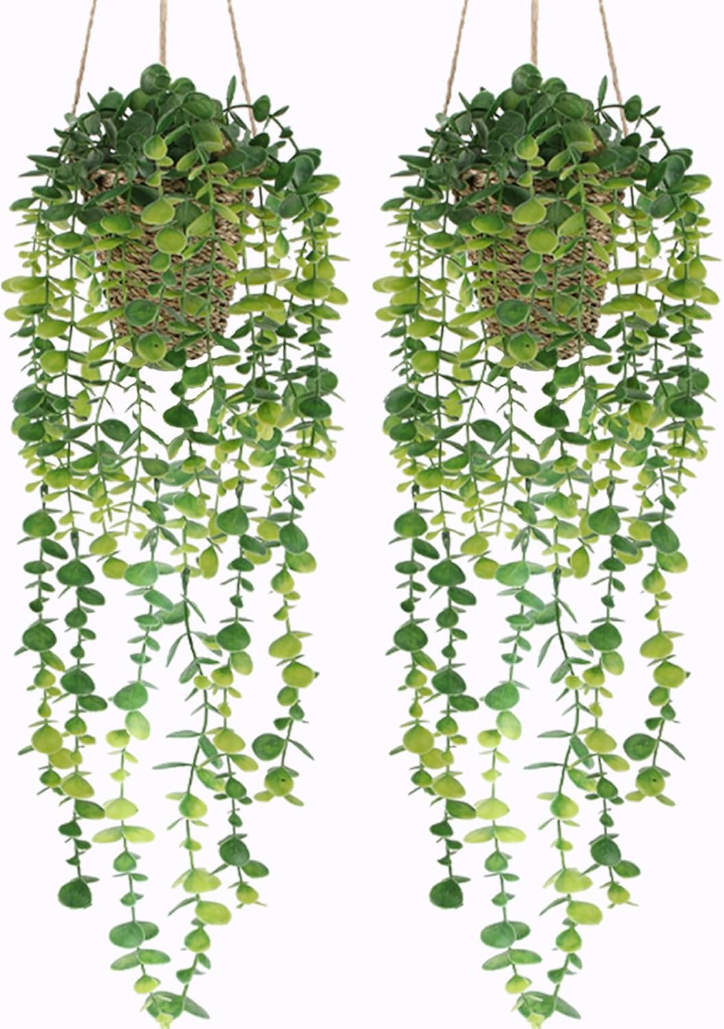 Nisoger Artificial Hanging Plant with Woven Basket 2 Pack