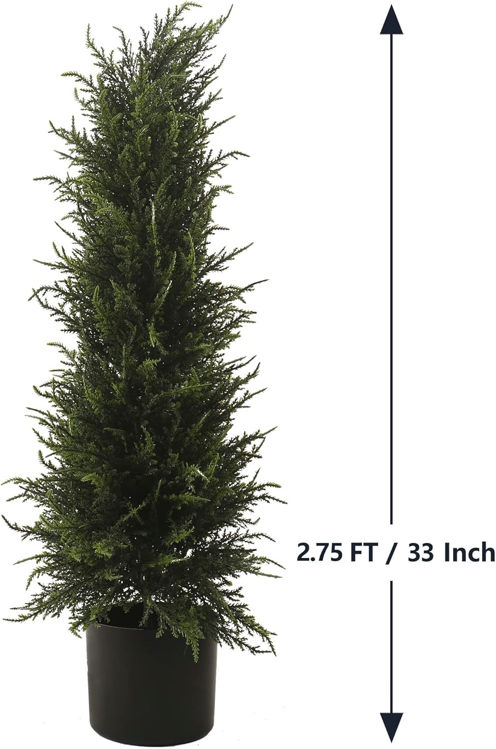275 Ft Cedar Topiary Tree for Front Porch