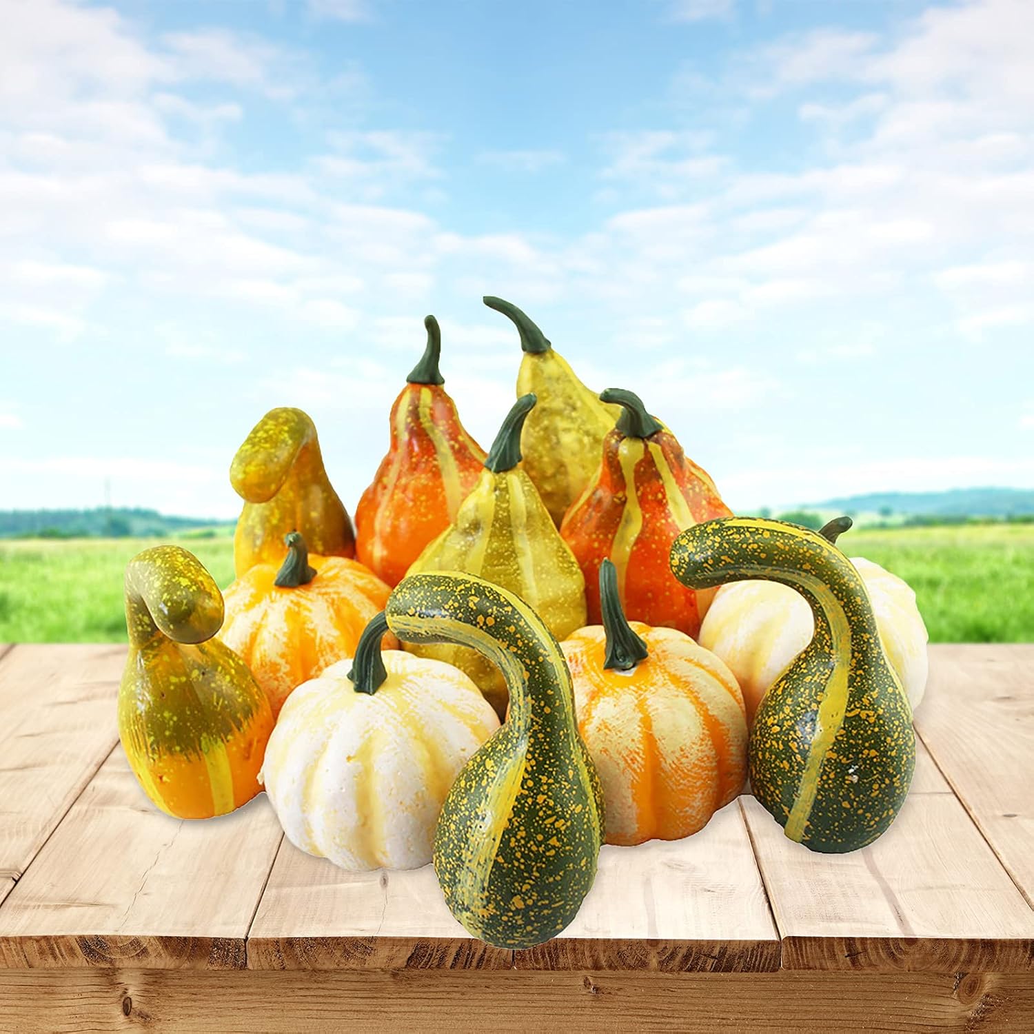 TITA-DONG Artificial Pumpkins and Gourds Set of 12 Halloween Foam Props