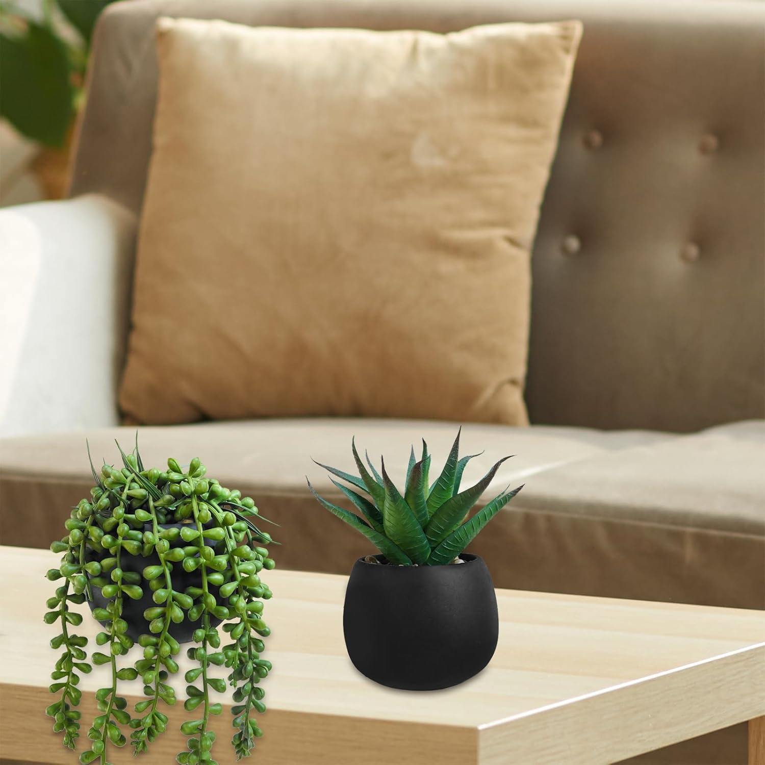 Winlyn Set of 3 Artificial Succulent Plants in Black Concrete Pots