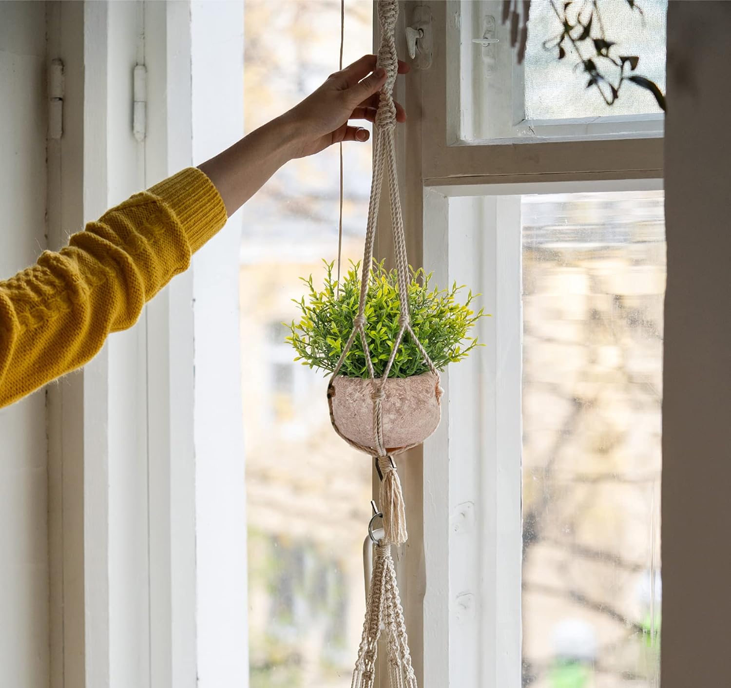 Lemonfilter 5 Pack Artificial Eucalyptus Plants