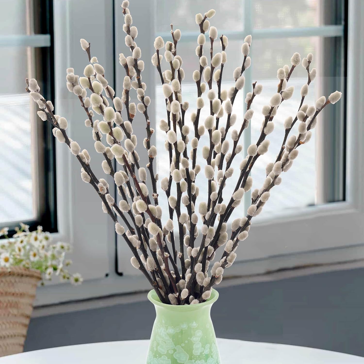 Oning 20 Stems Preserved Pussywillow Branches for Vase
