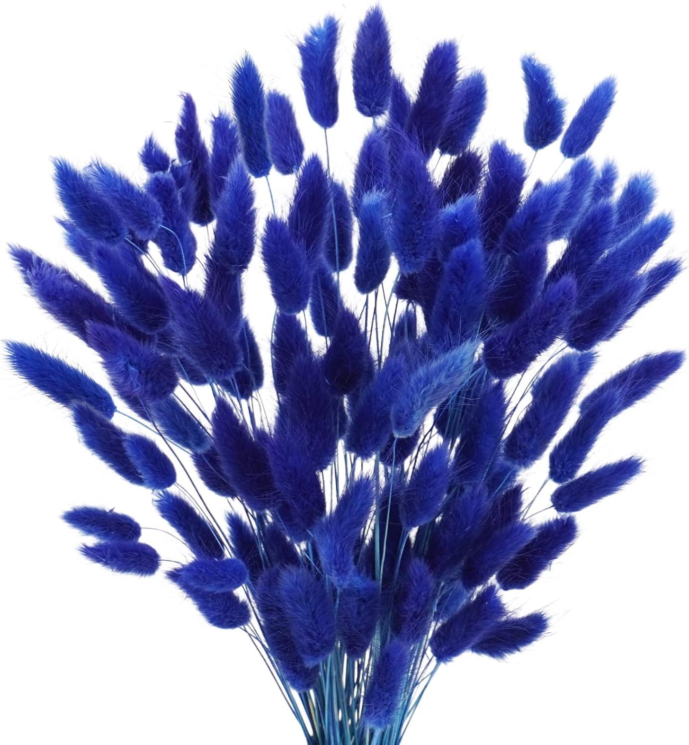 Uieke 17 Inch Natural Bunny Tails Dried Flowers 120 Pcs